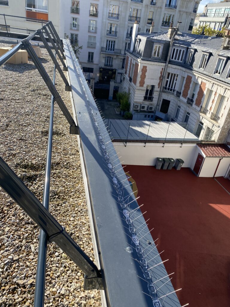 Picots anti Pigeon contre leur fiente sur la surface équipée en en dessous. Picots anti Pigeon contre leur fiente sur la surface équipée en en dessous.