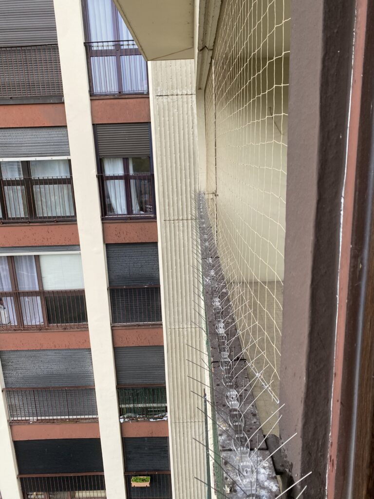 Picots anti Pigeon contre leur fiente sur la surface équipée en en dessous. Picots anti Pigeon contre leur fiente sur la surface équipée en en dessous.