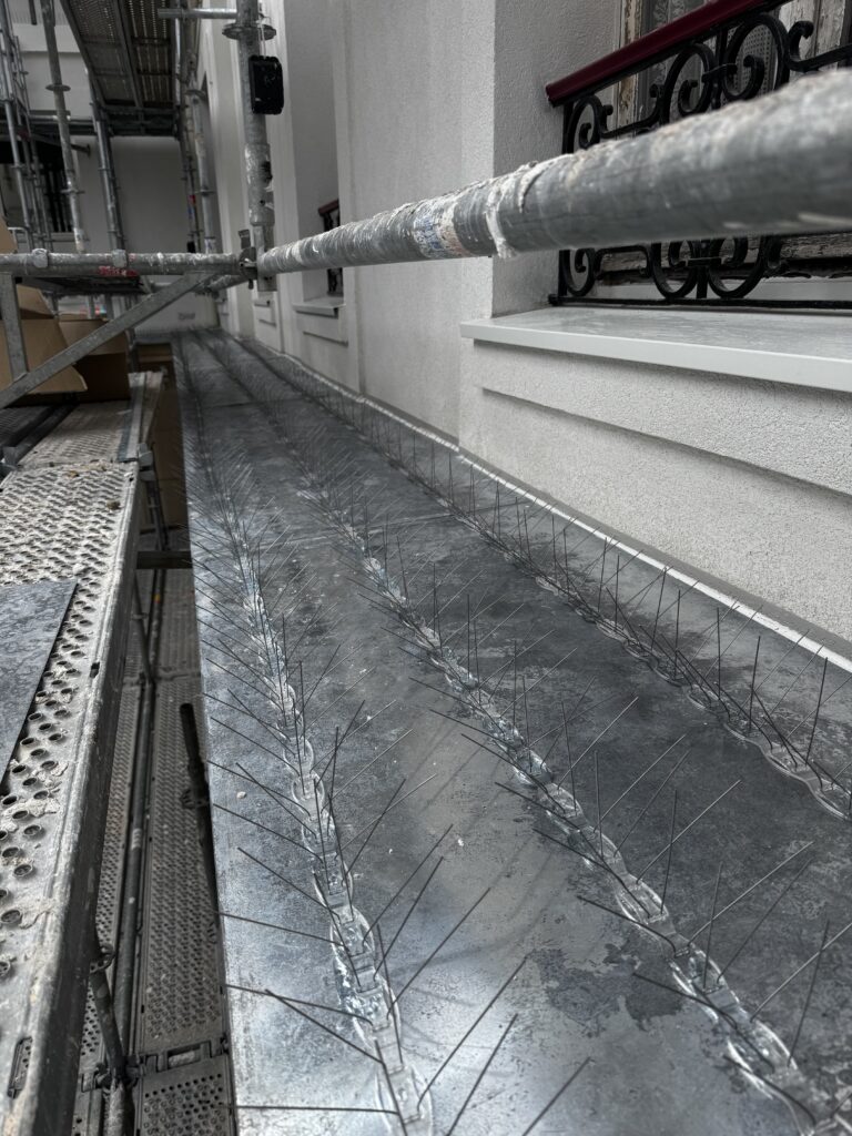 pics anti pigeons posé par par pigeon and Co - Paris Saint Honoré - immeuble 