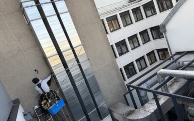 Pose acrobatique de filets anti pigeons dans résidence de plusieurs immeubles à Paris