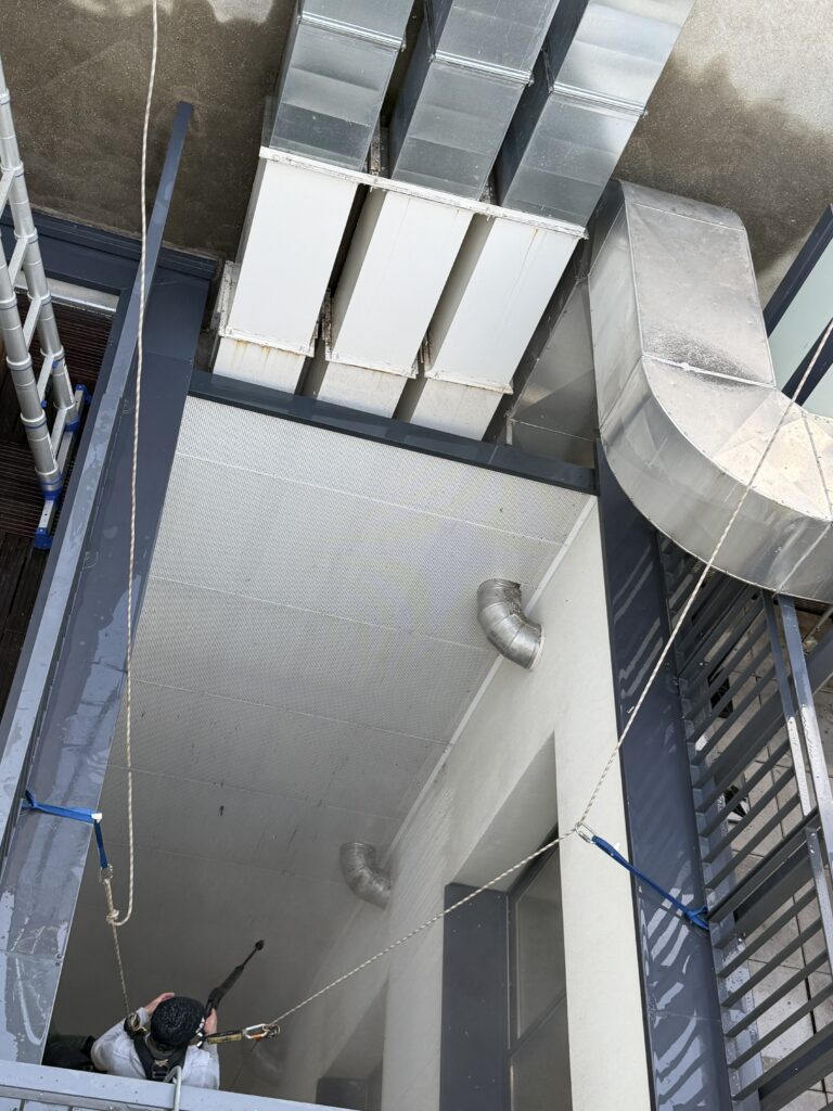 Pose anti pigeon et nettoyage , immeuble Paris, avec un cordiste