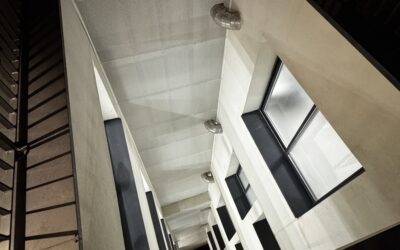 Pose filet anti pigeon immeuble Paris & nettoyage fientes