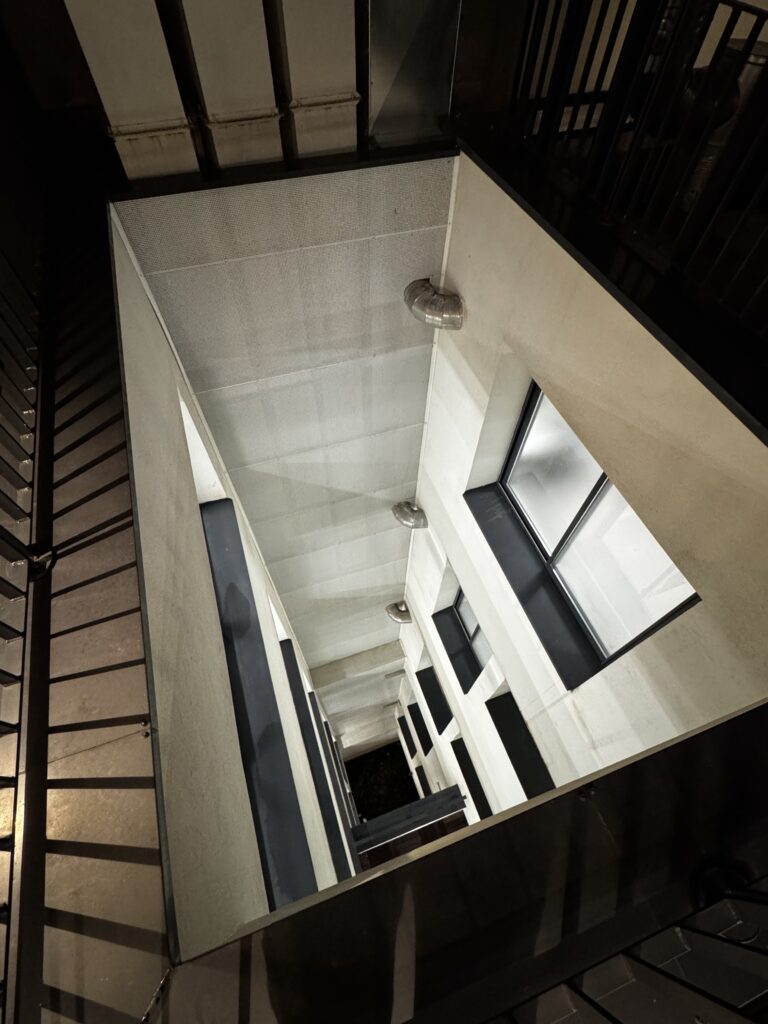 Pose anti pigeon et nettoyage , immeuble Paris, avec un cordiste