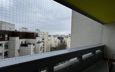 Pose filet anti pigeon Paris – balcon appartement