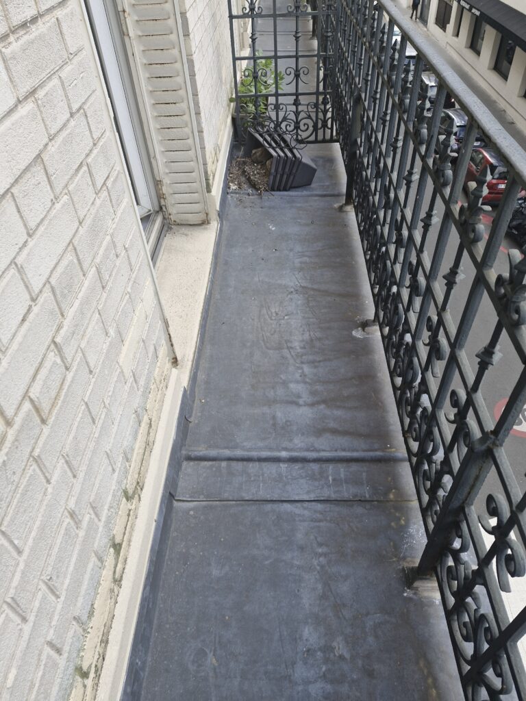 Enlèvement de nids de pigeons et nettoyage désinfection du balcon 92 Courbevoie