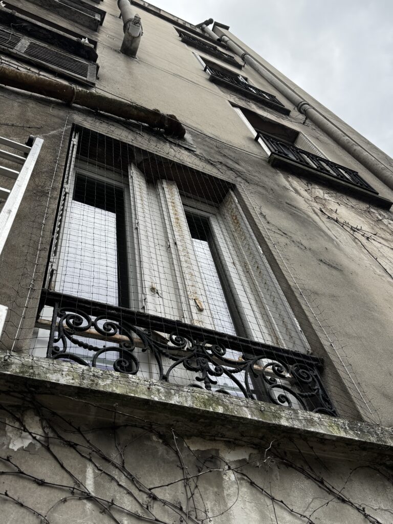 filets et pics   anti pigeon : Pose par Pigeon & Co sur cet immeuble à Paris