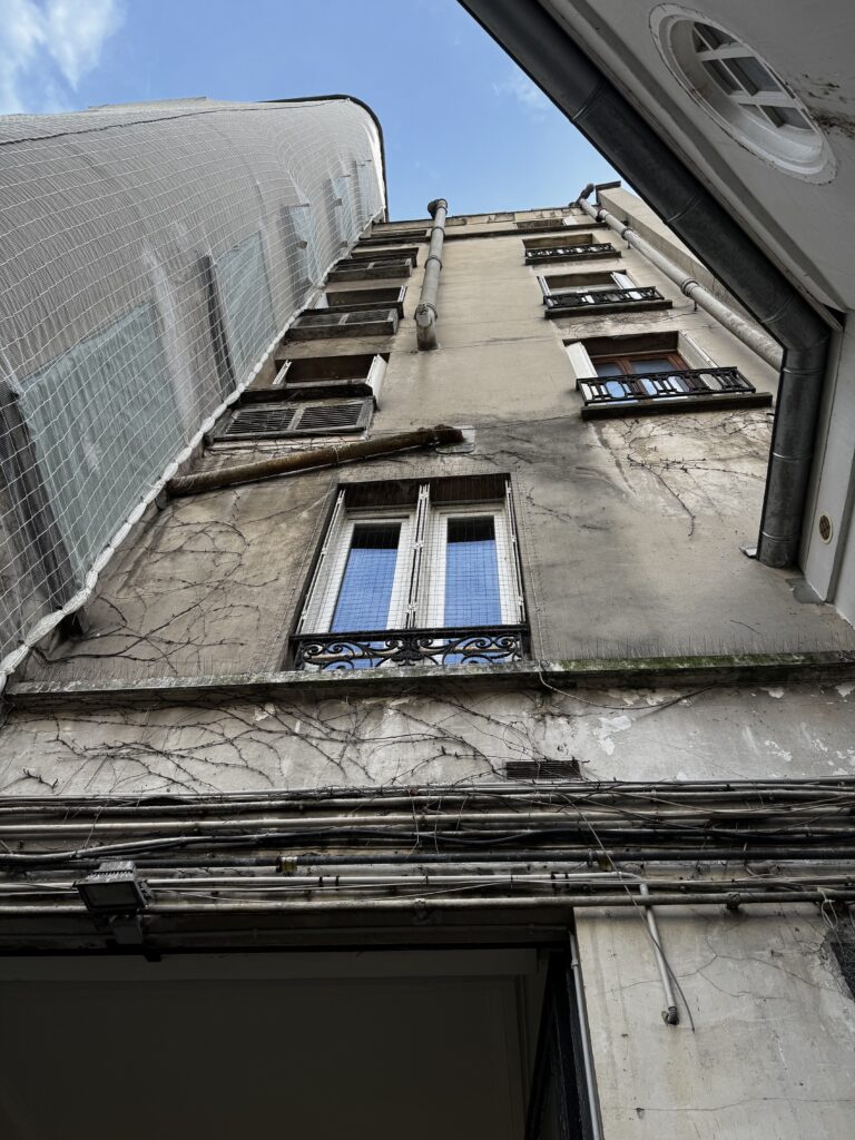 filets et pics   anti pigeon : Pose par Pigeon & Co sur cet immeuble à Paris