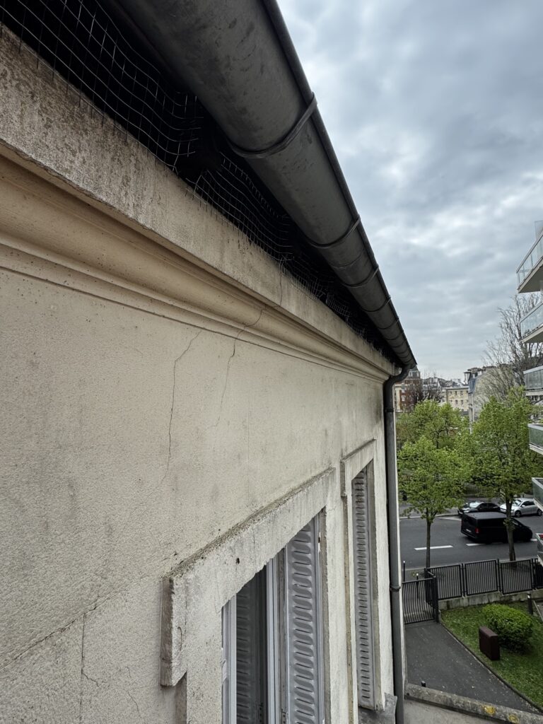 filets et pics   anti pigeon : Pose par Pigeon & Co sur cet immeuble à Paris