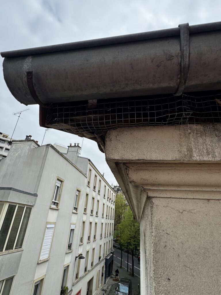 grillage treillis  anti pigeon : Pose par Pigeon & Co d'un grillage treillis soudé sous la gouttière et sous toiture 