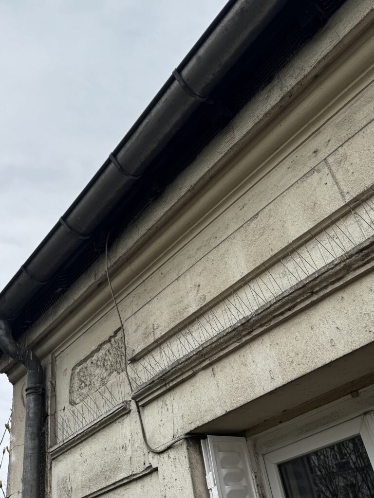 filets et pics   anti pigeon : Pose par Pigeon & Co sur cet immeuble à Paris