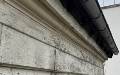 Pose Treillis métallique soudé anti pigeons sous toiture Paris