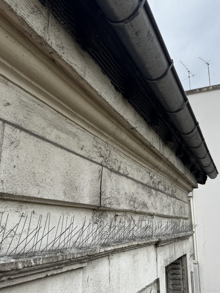filets et pics   anti pigeon : Pose par Pigeon & Co sur cet immeuble à Paris